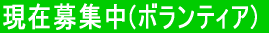 ���ݕ�W��(�{�����e�B�A) 